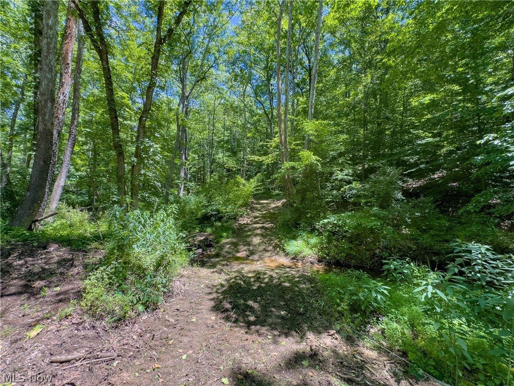 0 Long Hollow Road Property Photo 30