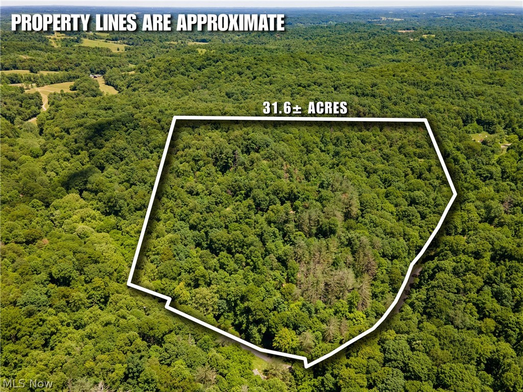0 Long Hollow Road Property Photo 31