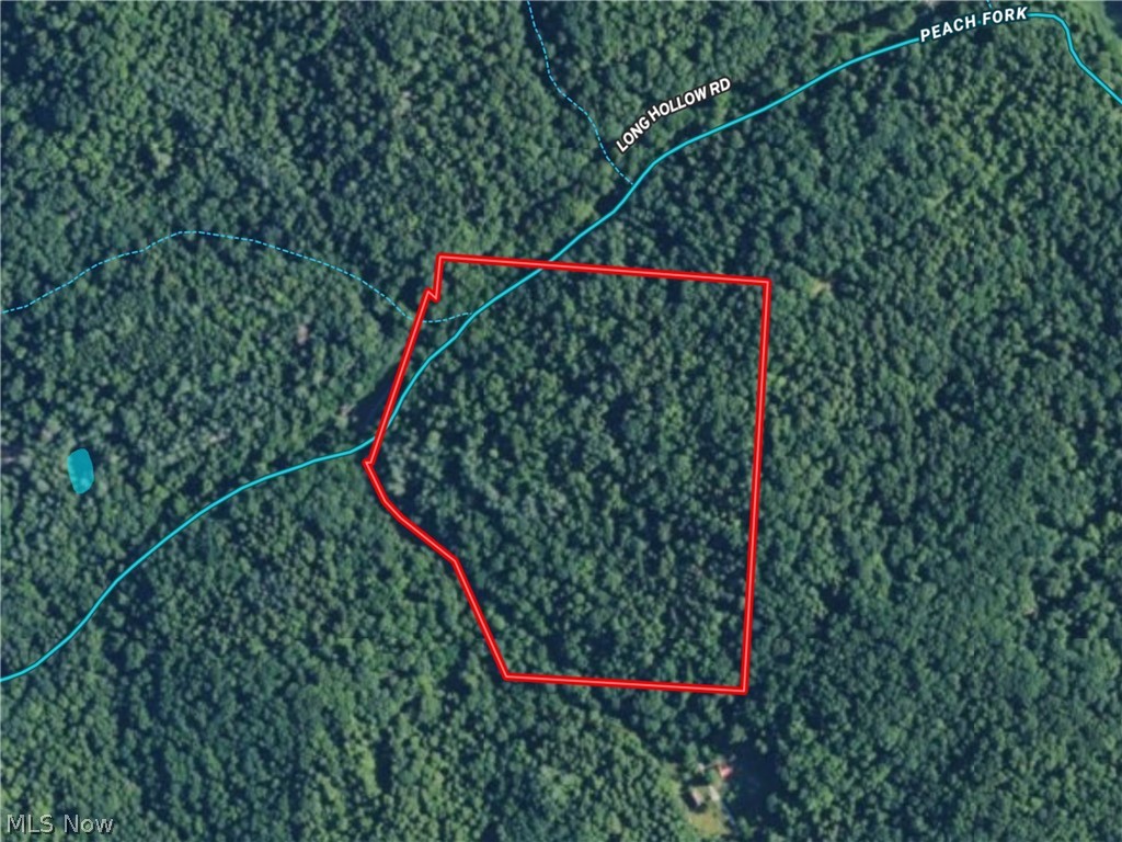 0 Long Hollow Road Property Photo 32