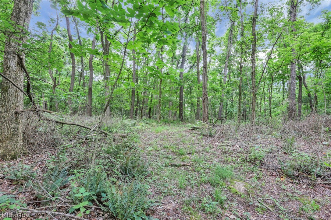 8080 Clearport Road Sw Property Photo 40
