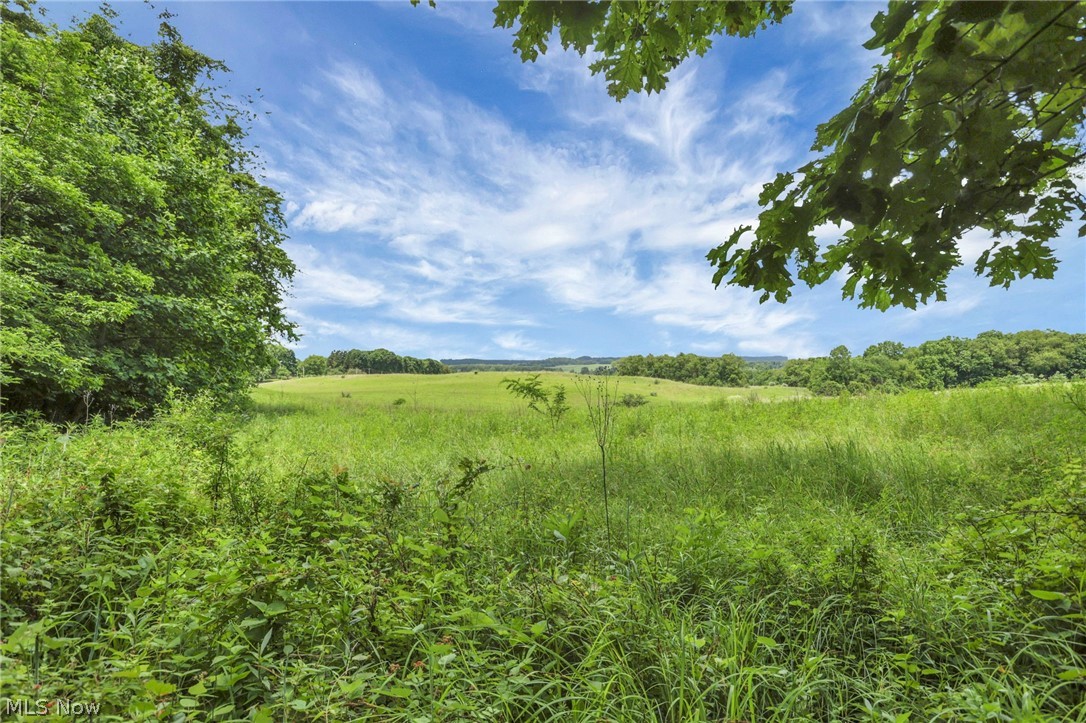 8080 Clearport Road Sw Property Photo 46