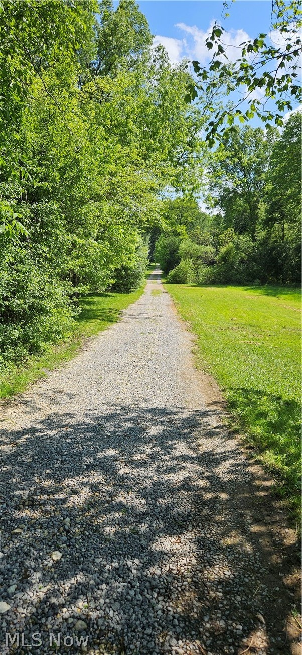 4680 Kirk Road Property Photo 4