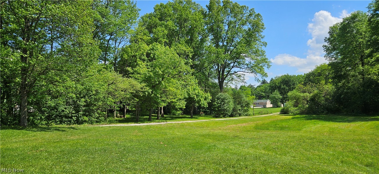 4680 Kirk Road Property Photo 20