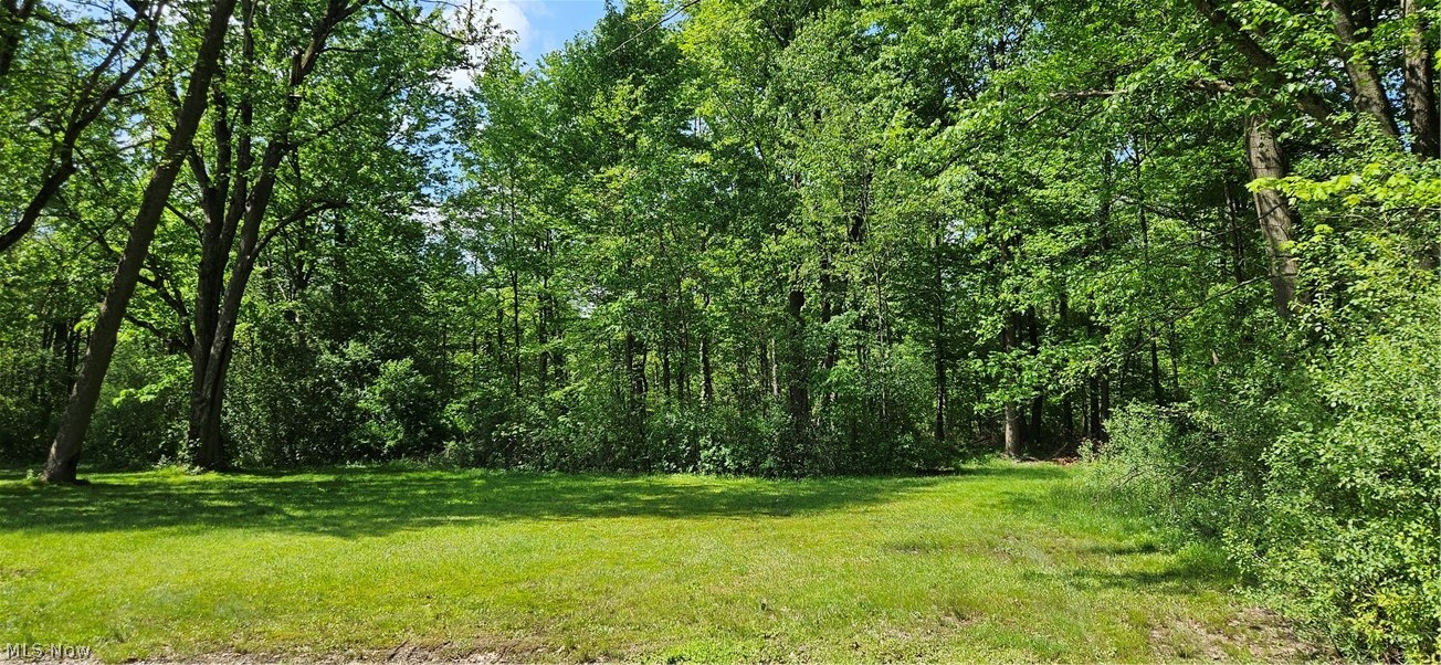 4680 Kirk Road Property Photo 21