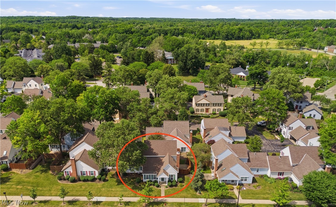 26 Hudson Common Drive Property Photo 37