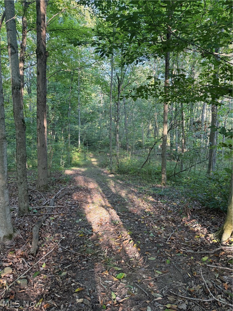18821 Munn Road Property Photo 39