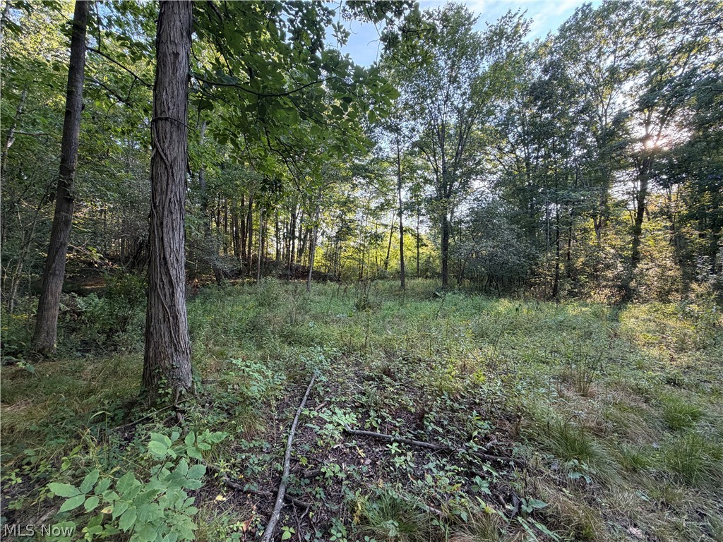 18821 Munn Road Property Photo 41