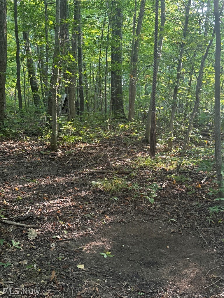 18821 Munn Road Property Photo 42