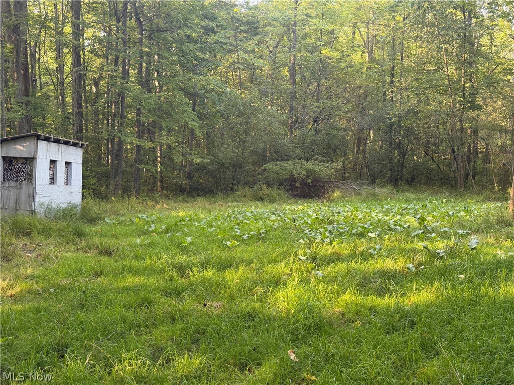 18821 Munn Road Property Photo 43