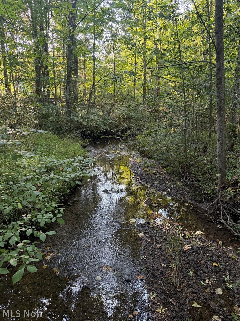 18821 Munn Road Property Photo 45