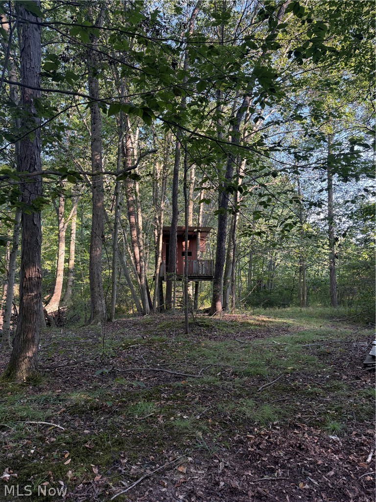 18821 Munn Road Property Photo 47