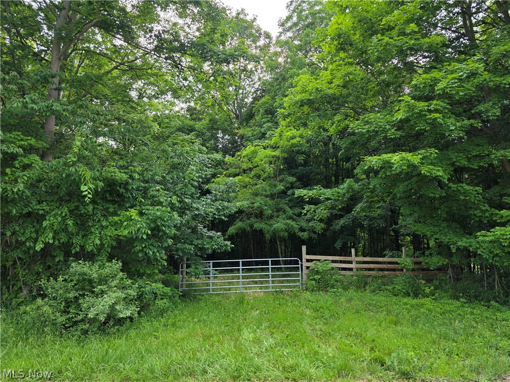 Greenwich Rd / Jamison Rd Property Photo 1