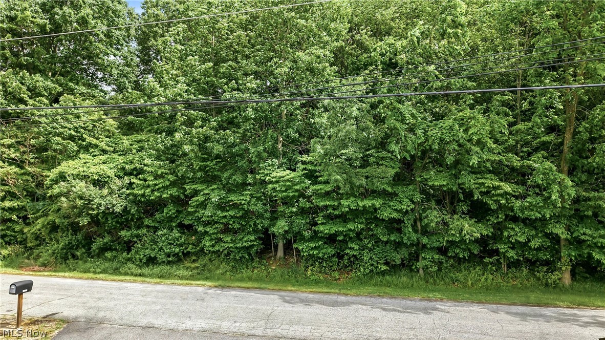 Tomahawk Drive Property Photo 15
