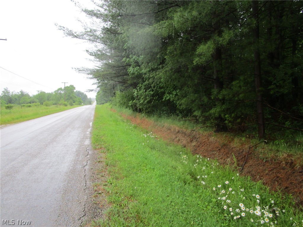 Vl Callender Road Property Photo 1
