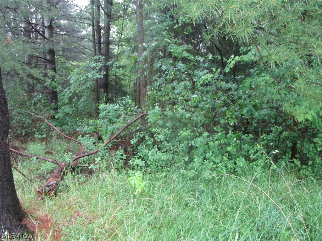 Vl Callender Road Property Photo 2