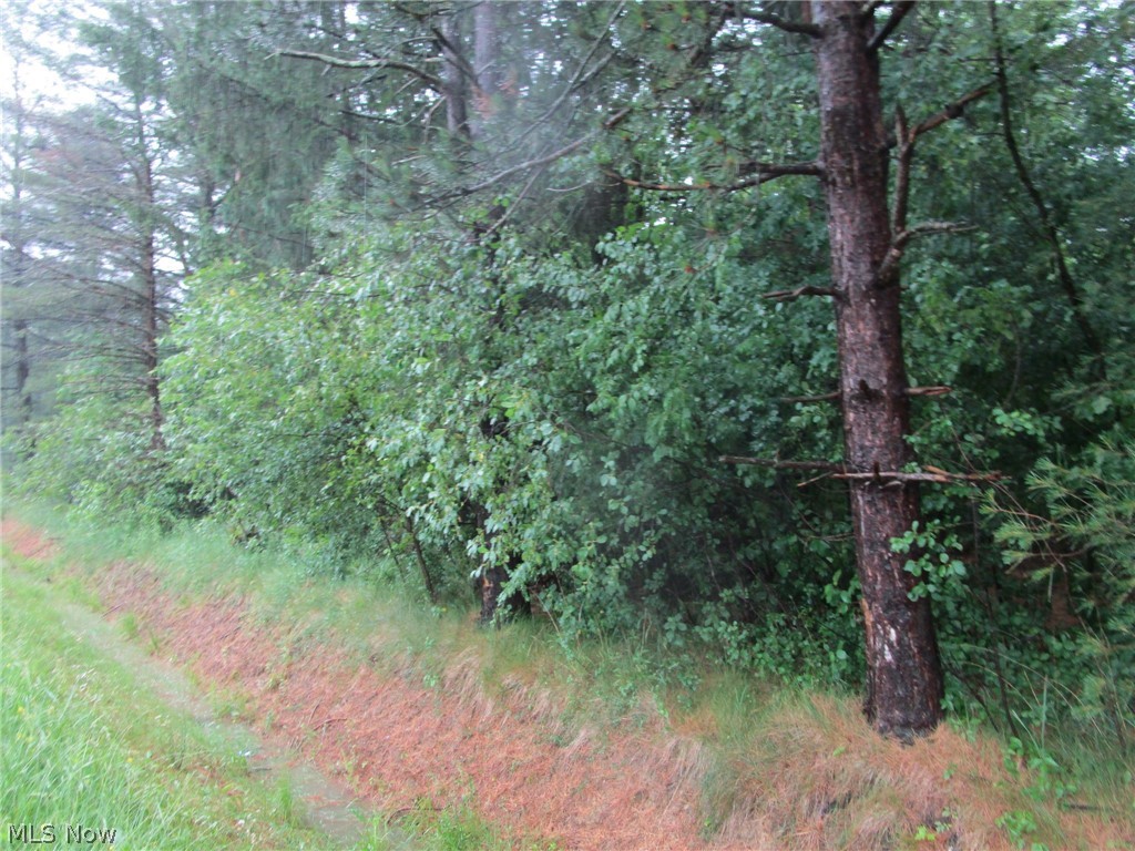 Vl Callender Road Property Photo 3