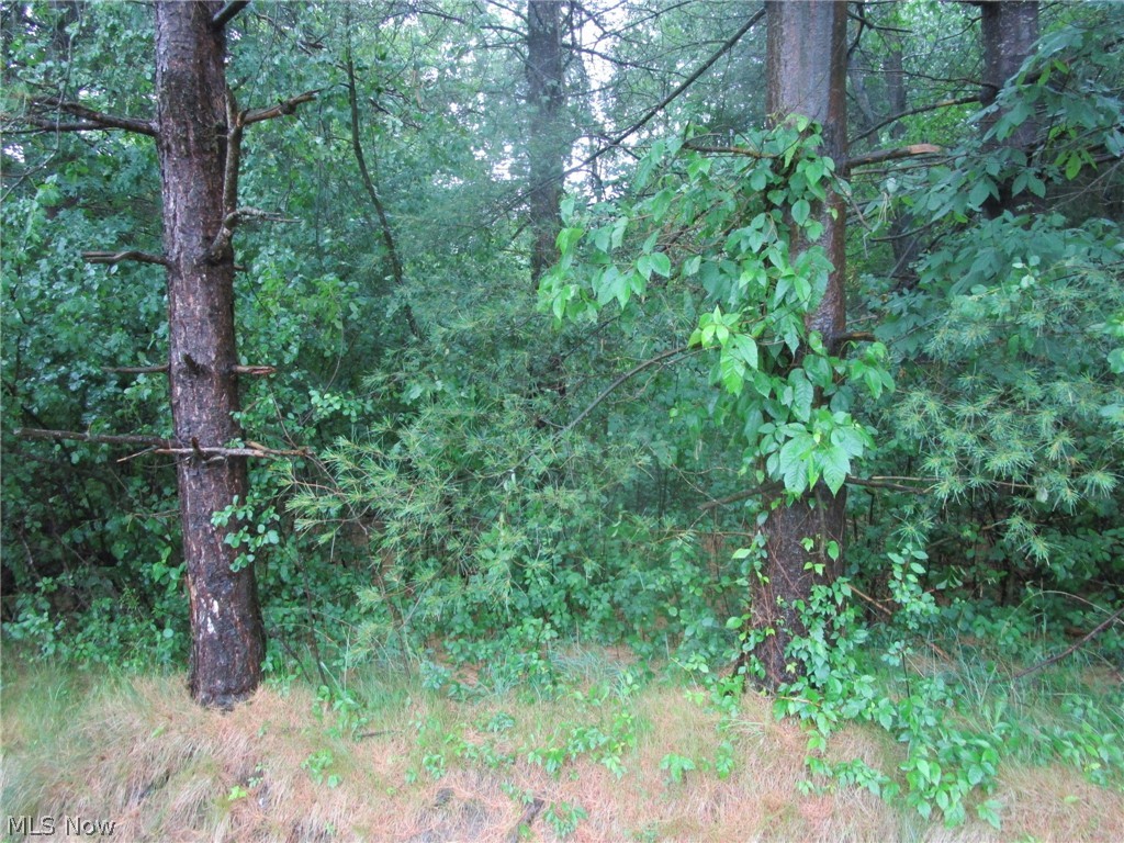 Vl Callender Road Property Photo 4
