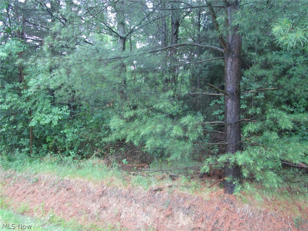 Vl Callender Road Property Photo 5