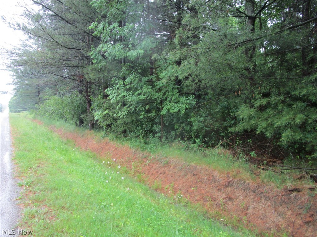 Vl Callender Road Property Photo 6