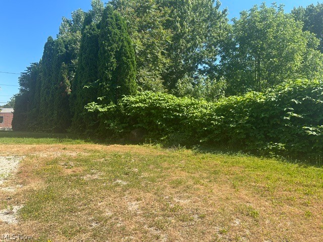 2372 Triplett Boulevard Property Photo 27