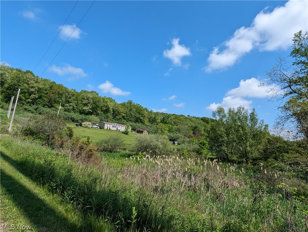 2492 Irish Ridge Road Property Photo 19