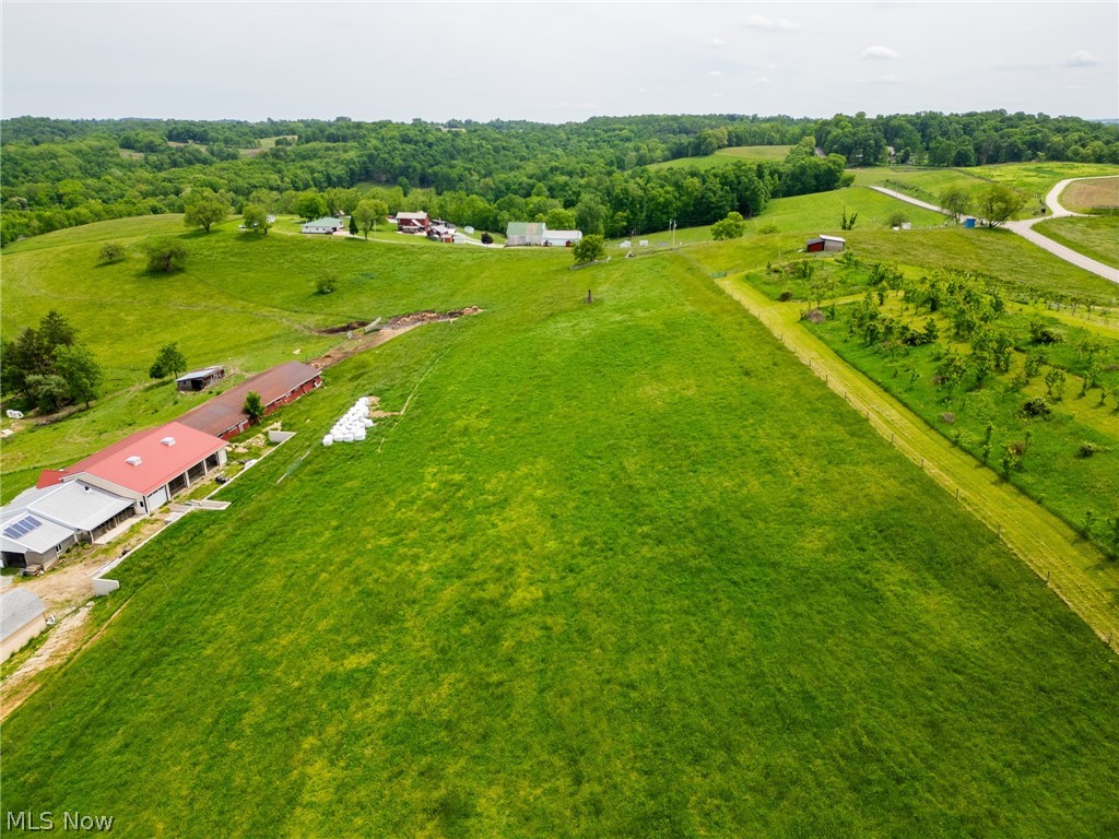County Road 407 Property Photo 9