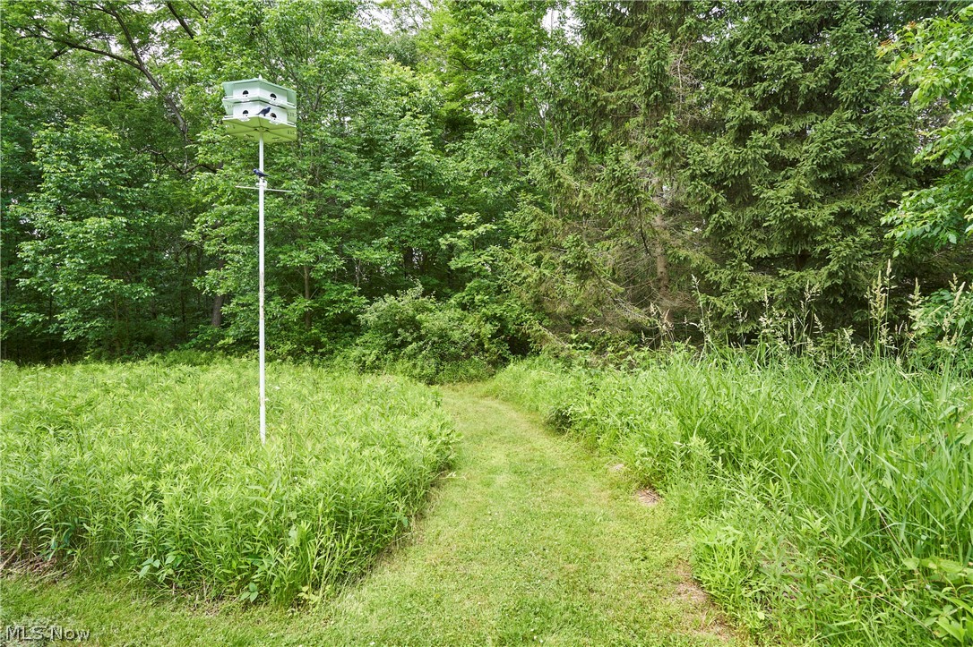 5046 Alger Road Property Photo 41