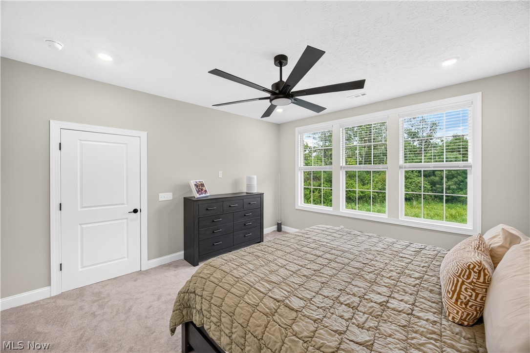 152 Lake Balaton Drive Property Photo 26