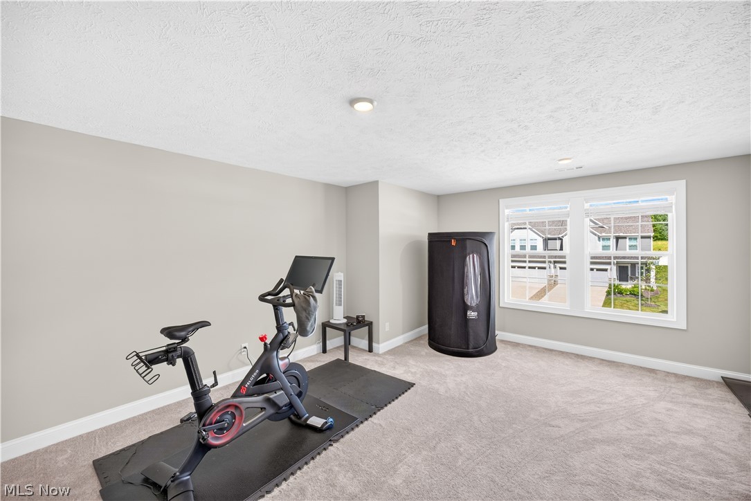 152 Lake Balaton Drive Property Photo 34