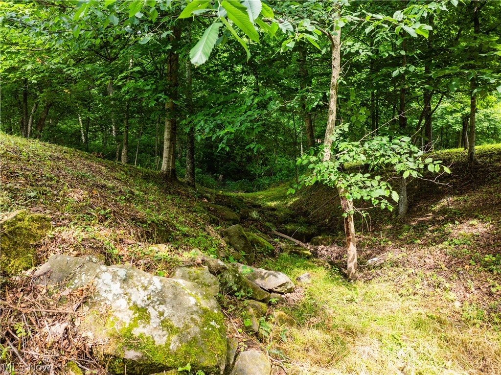 50117 Township Road 215 Property Photo 43