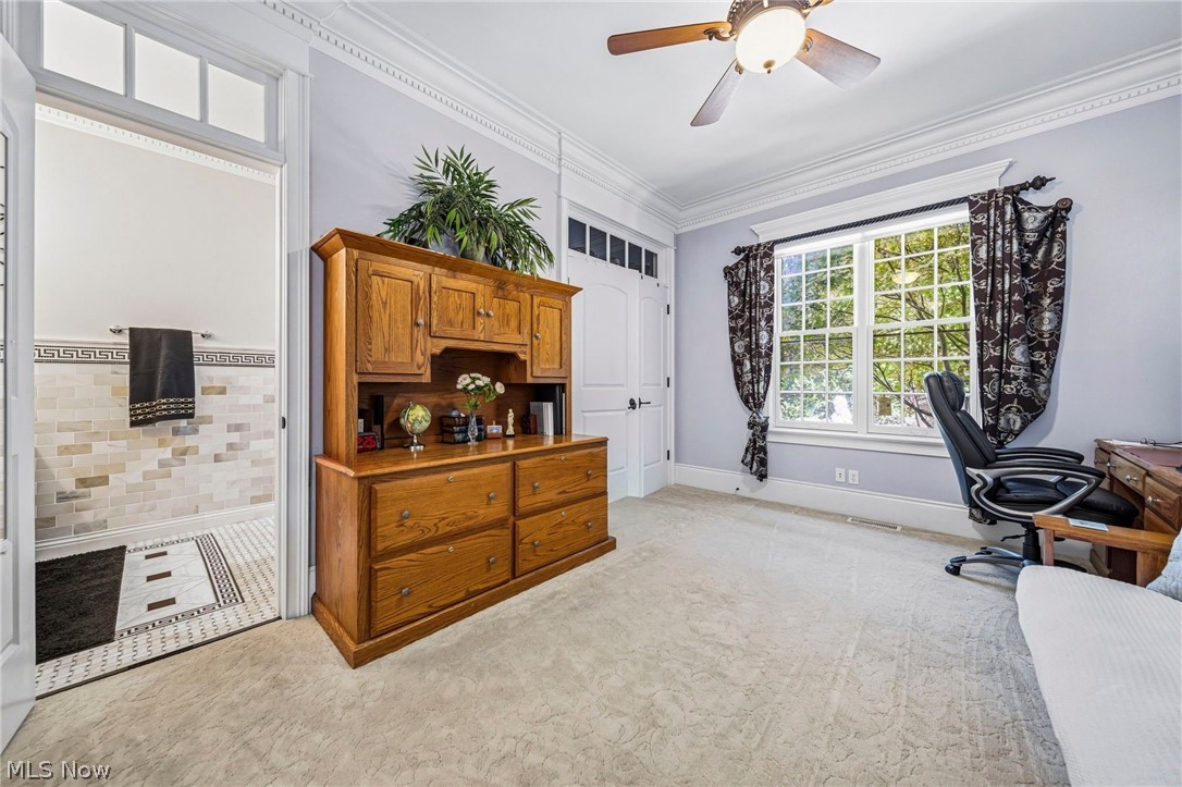 39487 Tudor Drive Property Photo 19