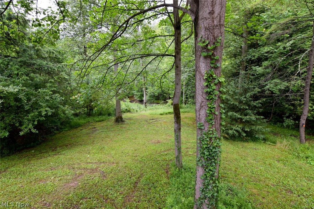 13540 Ledgebrook Lane Property Photo 31