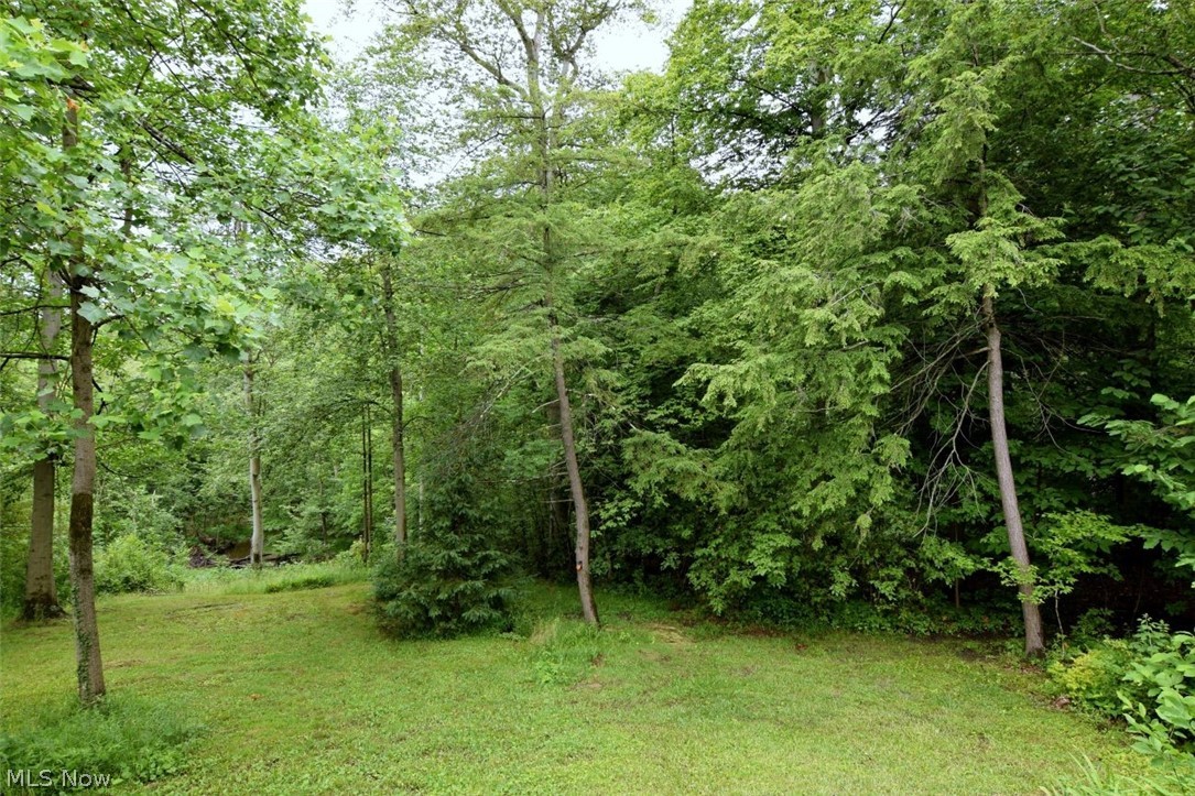 13540 Ledgebrook Lane Property Photo 32