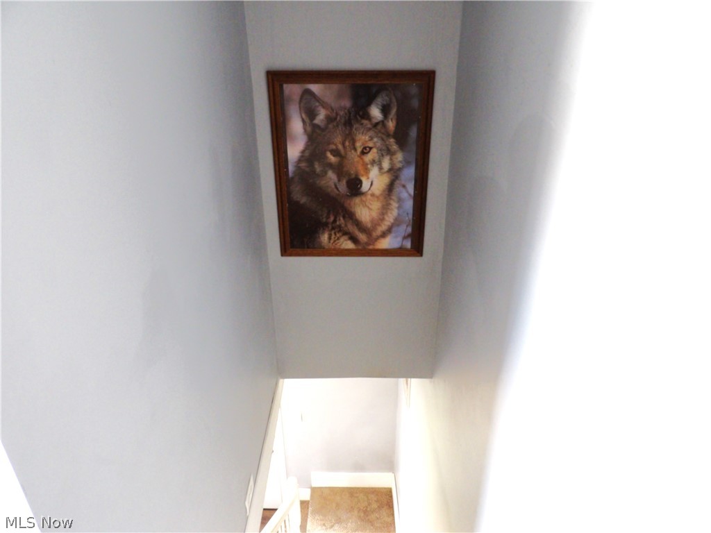 52788 Belmont Avenue Property Photo 27