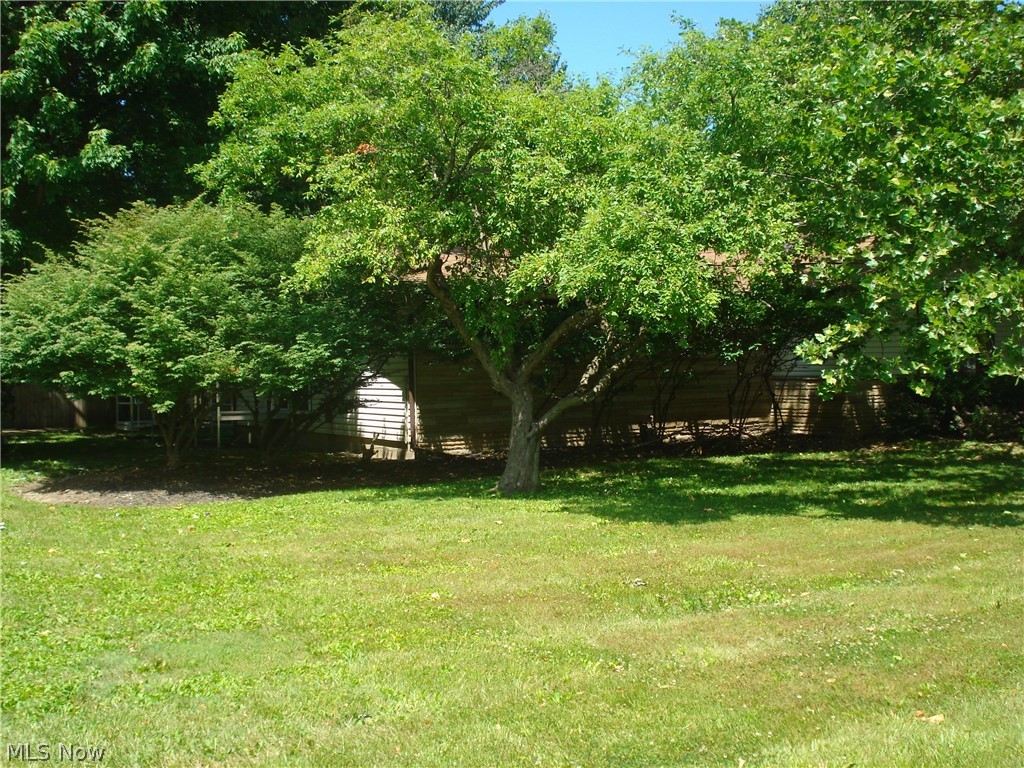 7342 Hopkins Road Property Photo 21