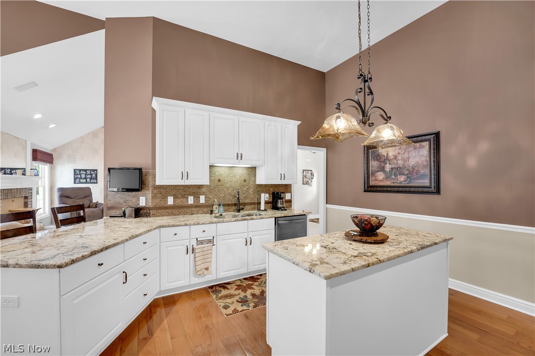 2924 Robert Gary Court Property Photo 18