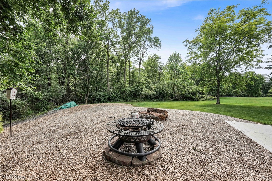 2924 Robert Gary Court Property Photo 48