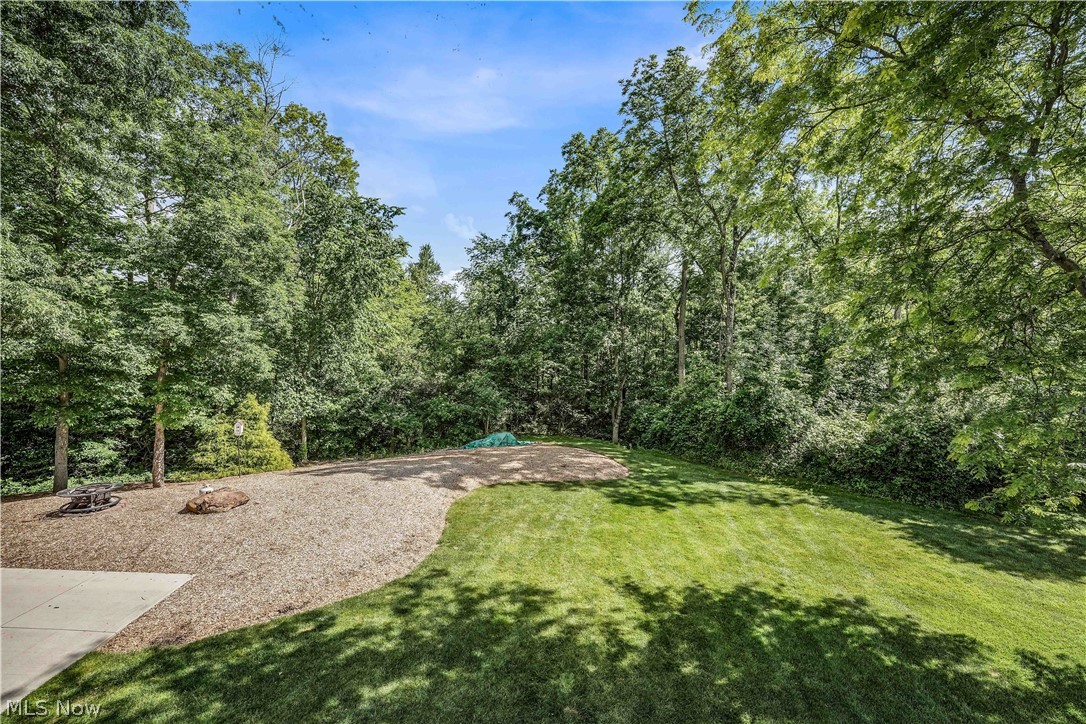 2924 Robert Gary Court Property Photo 50
