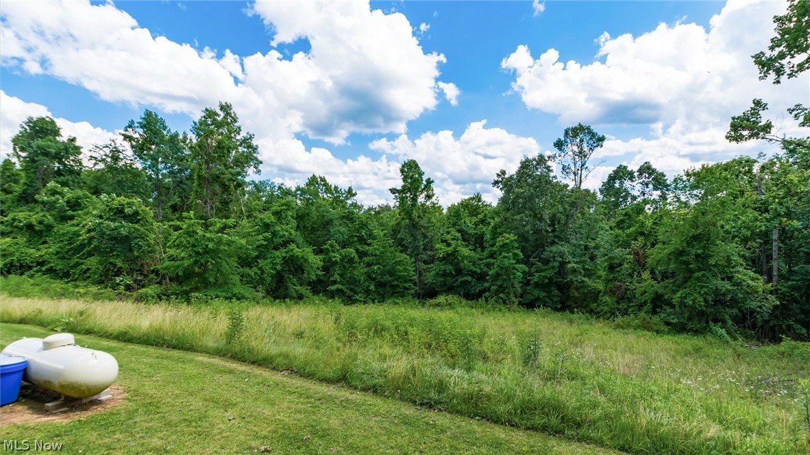 43467 State Route 145 Property Photo 29