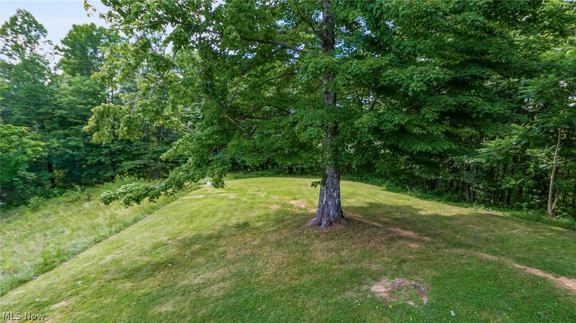 43467 State Route 145 Property Photo 30