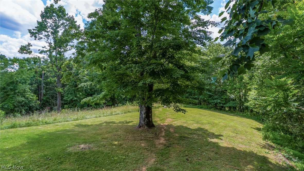 43467 State Route 145 Property Photo 31