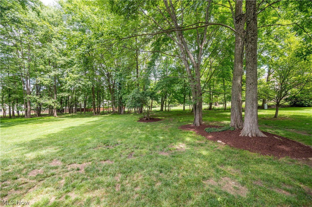 548 Squirrel Hill Drive Property Photo 3