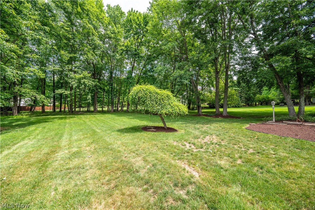 548 Squirrel Hill Drive Property Photo 16