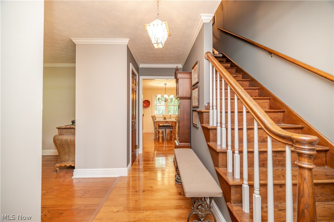 548 Squirrel Hill Drive Property Photo 23
