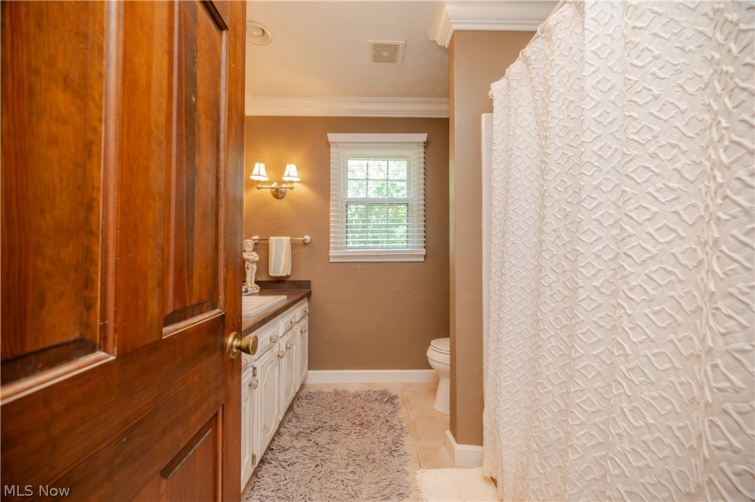 548 Squirrel Hill Drive Property Photo 26