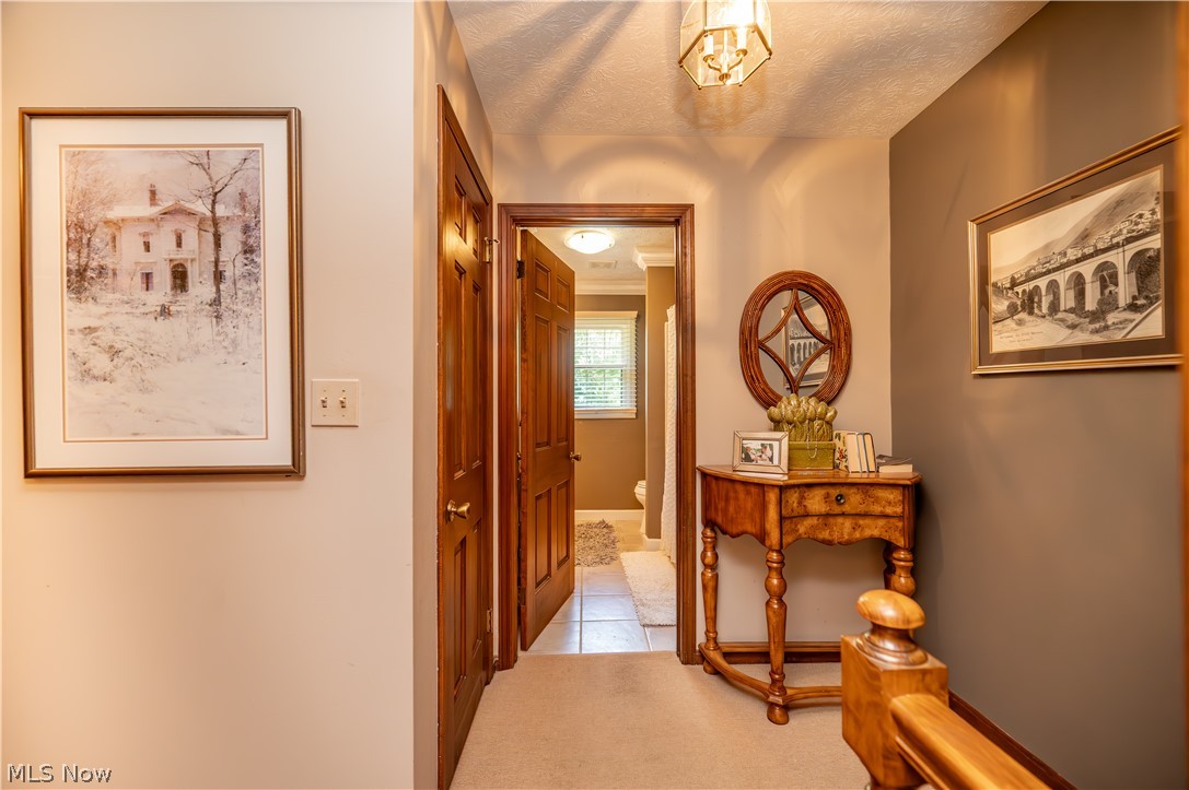 548 Squirrel Hill Drive Property Photo 27