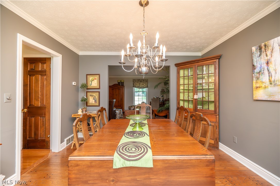 548 Squirrel Hill Drive Property Photo 36