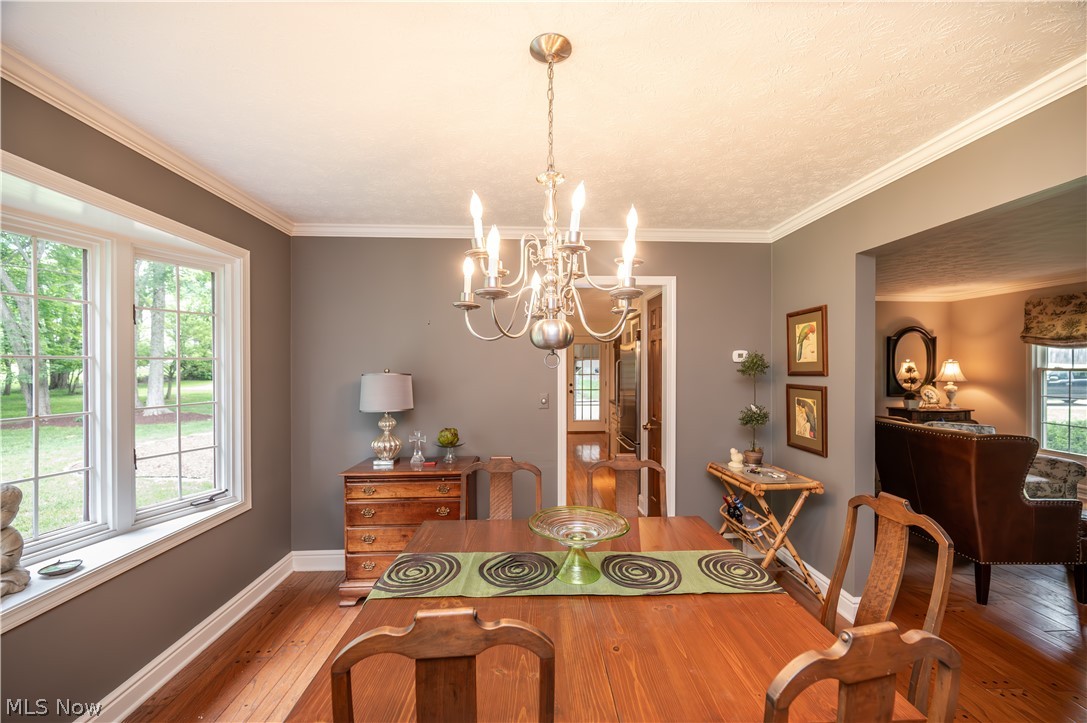 548 Squirrel Hill Drive Property Photo 37