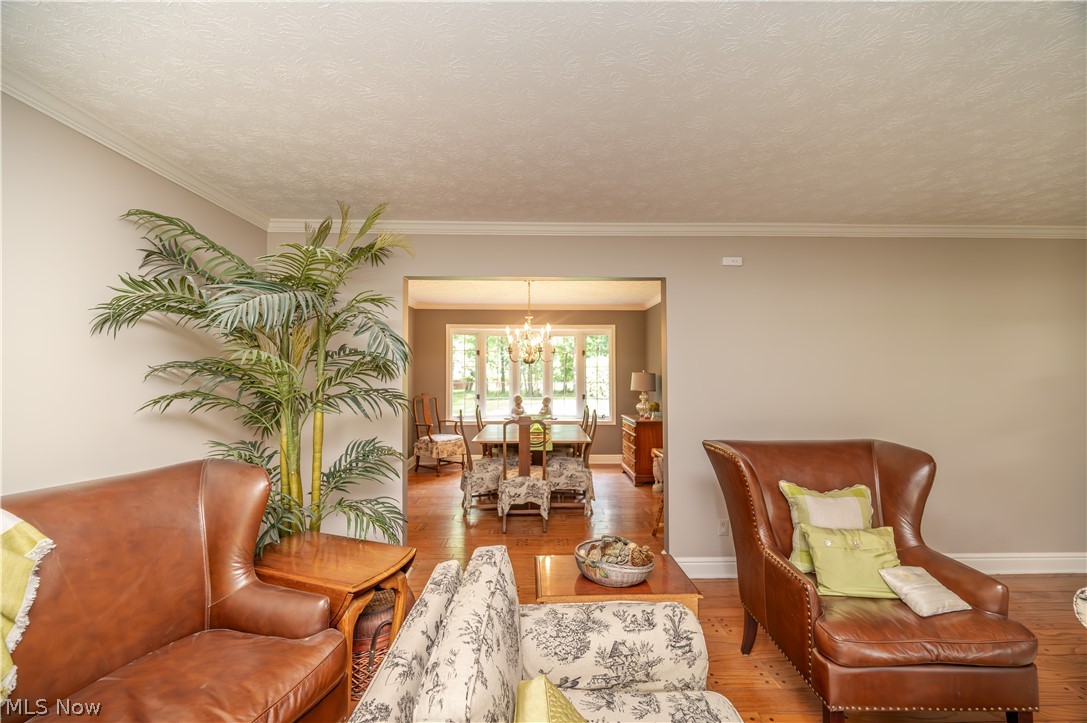 548 Squirrel Hill Drive Property Photo 39