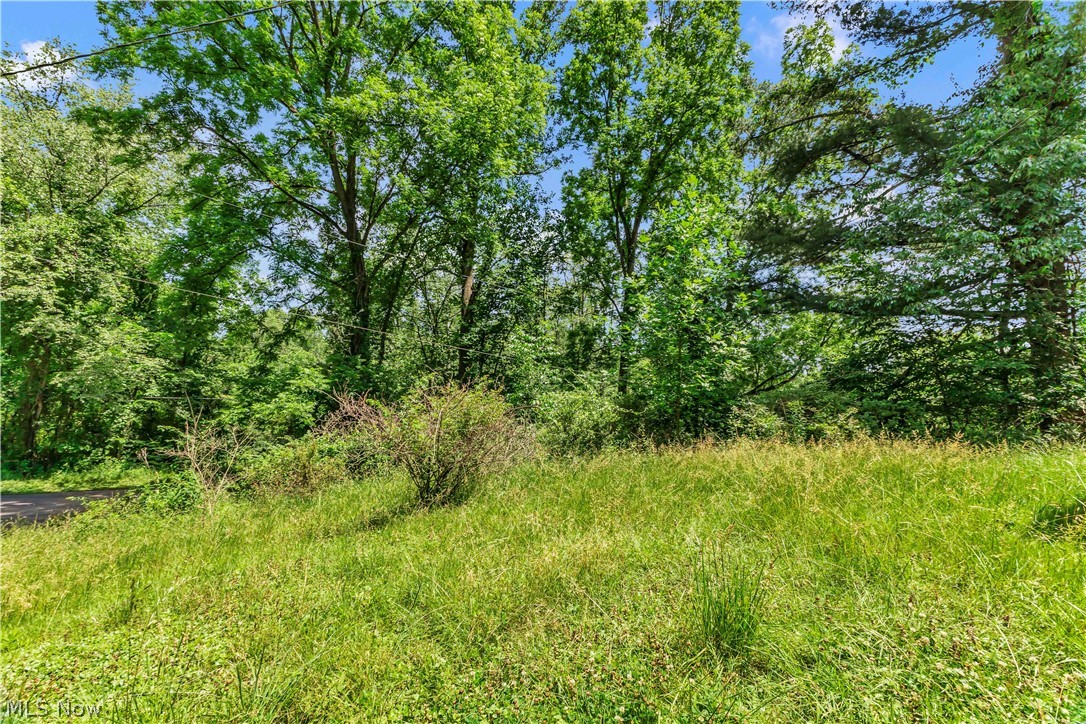 1585 Egypt Road Property Photo 13